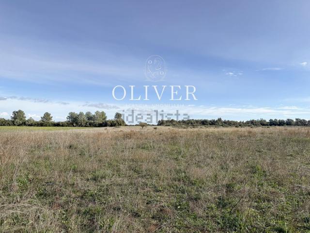 Terreno en venta en Biniali, Pla de Mallorca
