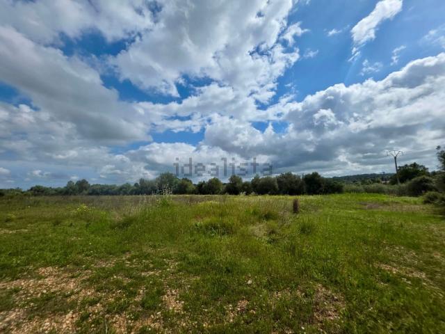 Terreno en venta en Binifuell, Pla de Mallorca