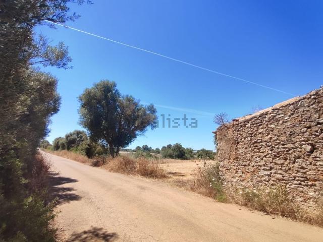 Terreno en venta en Pla de Mallorca, Baleares