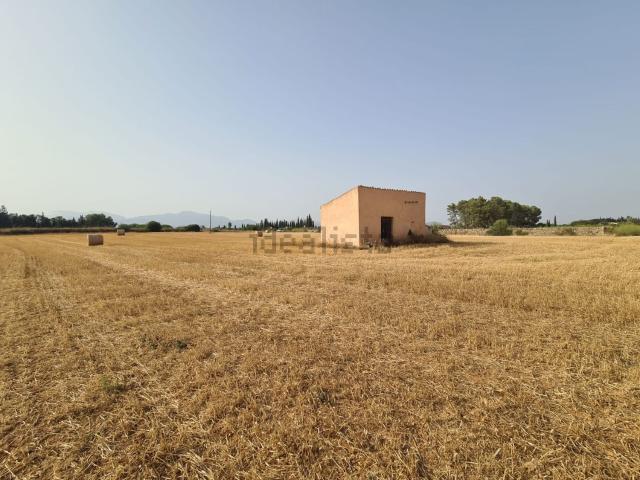 Terreno en venta en Pla de Mallorca, Baleares