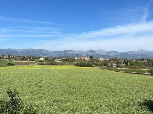 Terreno en venta en Biniali, Pla de Mallorca