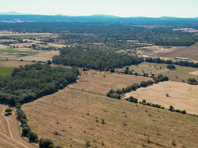 Terreno en venta en Pla de Mallorca, Baleares