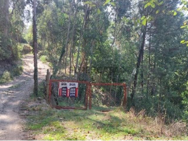 Terreno venda em Amares, Braga