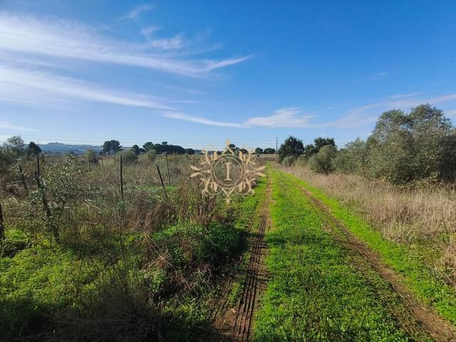 Terreno venda em Volta da Pedra, Palmela