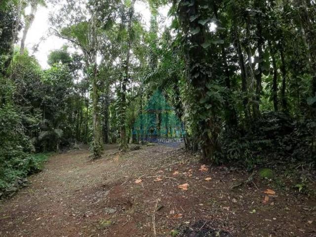 Terreno venda em Região Imediata de Caraguatatuba-Ubatuba-São Sebastião, Região Metropolitana do Vale do Paraíba e Litoral Norte