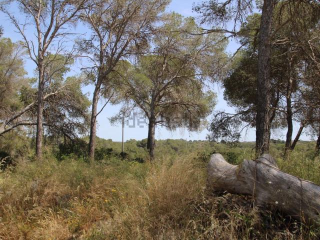 Terreno en venta en s'Arenal, Palma
