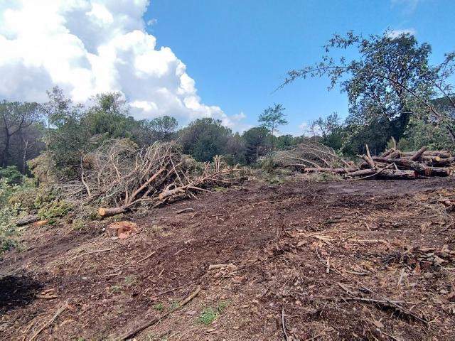 Terreno en venta en Osona, Catalunya