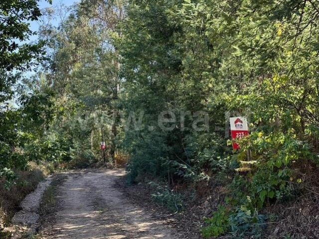 Terreno venda em Zona Industrial de Irijó, Sever do Vouga