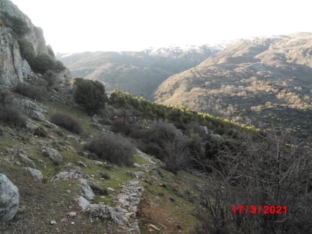 Terreno en venta en Pradollano, Comarca de la Vega de Granada