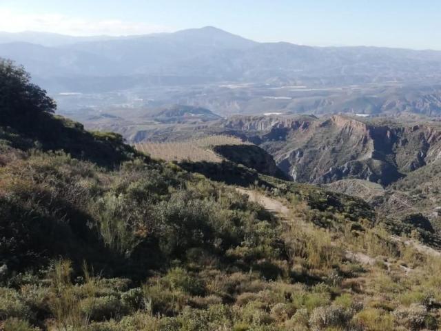 Terreno en venta en Pradollano, Comarca de la Vega de Granada