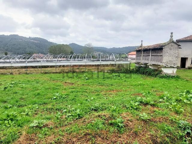 Terreno en venta en Cira, O Deza