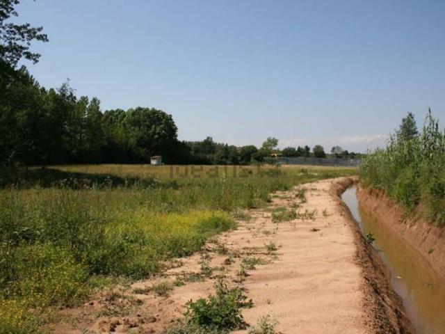 Terreno en venta en la Selva, Catalunya