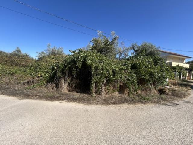 Terreno venda em Tomar, Santarém