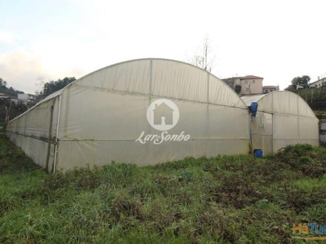 Terreno venda em Fafe, Braga
