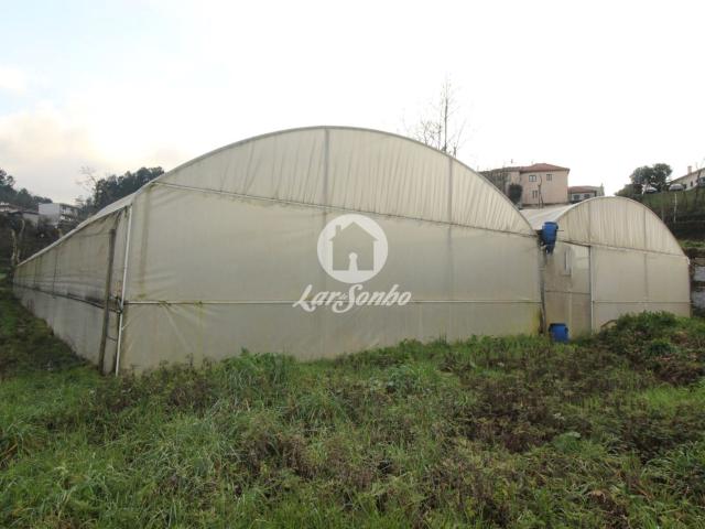 Terreno venda em Silvares (São Martinho), Fafe