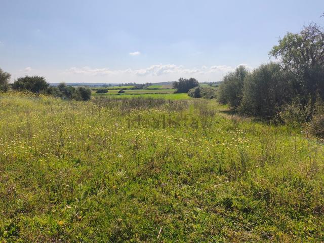 Terreno en venta en Pla de Mallorca, Baleares