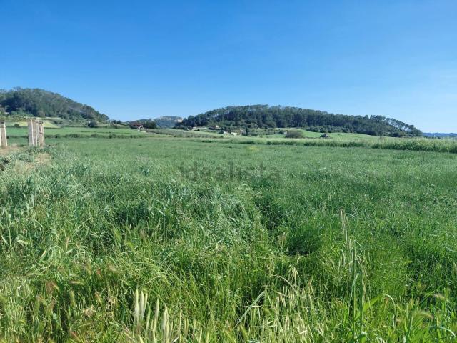 Terreno en venta en Pla de Mallorca, Baleares