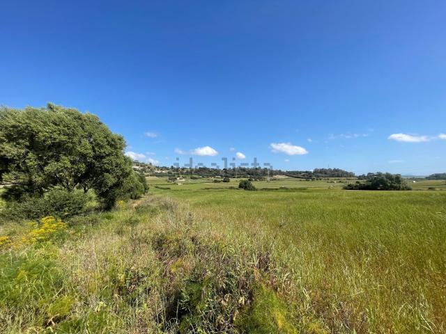 Terreno en venta en Pla de Mallorca, Baleares
