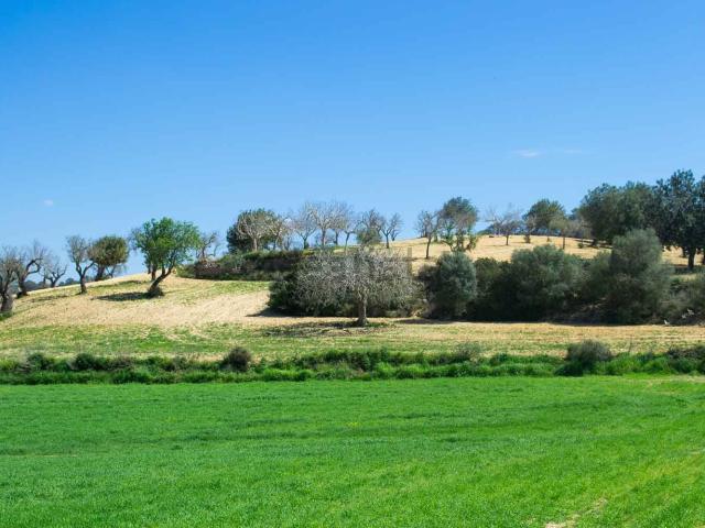 Terreno en venta en Pla de Mallorca, Baleares