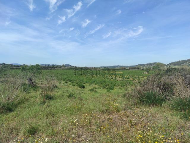 Terreno en venta en Pla de Mallorca, Baleares