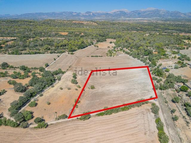 Terreno en venta en Pla de Mallorca, Baleares