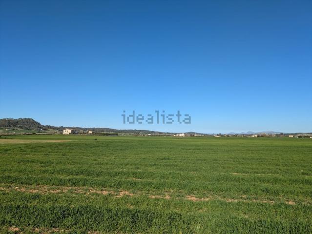 Terreno en venta en Pla de Mallorca, Baleares