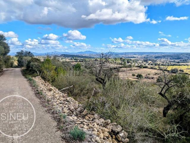 Terreno en venta en Pla de Mallorca, Baleares