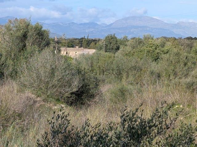 Terreno en venta en Pla de Mallorca, Baleares