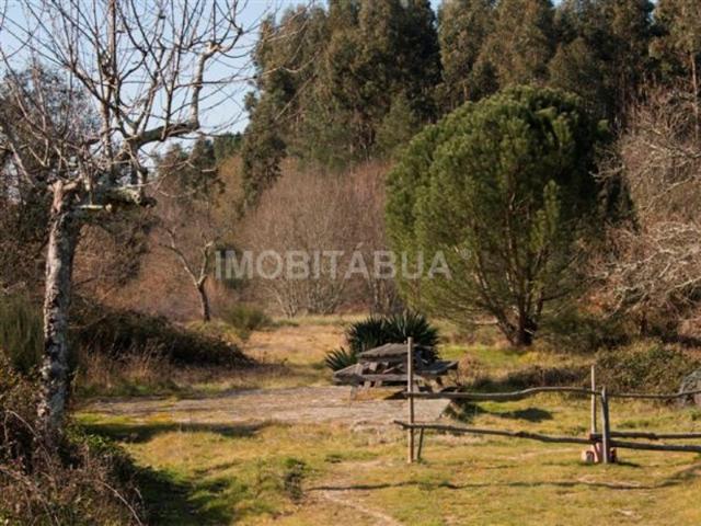 Terreno venda em Tábua, Coimbra