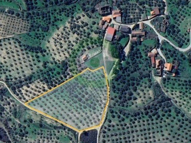 Terreno venda em Argeriz, Vila Real