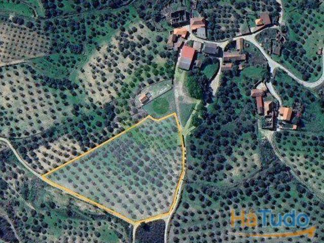 Terreno venda em Argeriz, Vila Real
