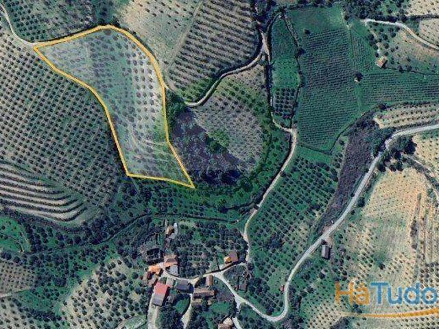Terreno venda em Argeriz, Vila Real
