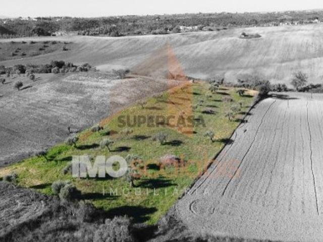 Terreno venda em Arneiro dos Borralhos, Santarém