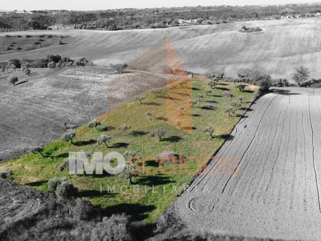 Terreno venda em Arneiro dos Borralhos, Santarém