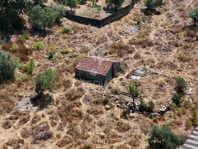 Quinta venda em Porto De Mós, Leiria