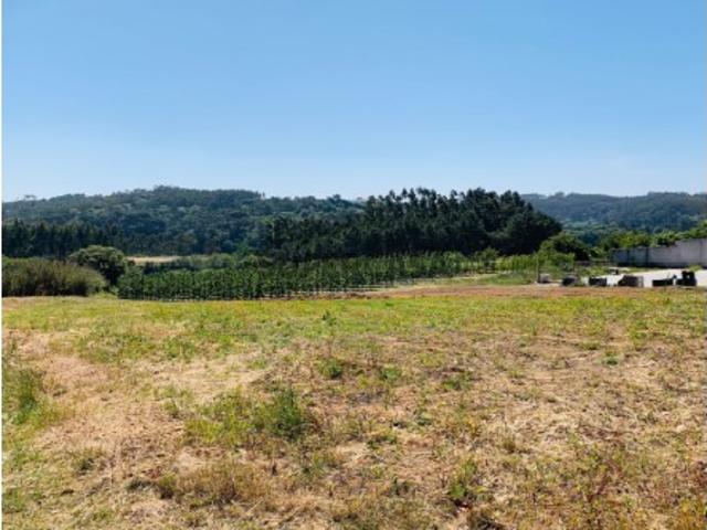 Terreno venda em Caldas Da Rainha, Brejoeira