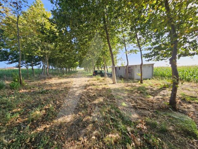 Terreno venda em Ílhavo, Aveiro