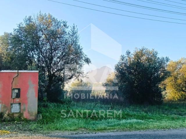 Terreno venda em Santarém