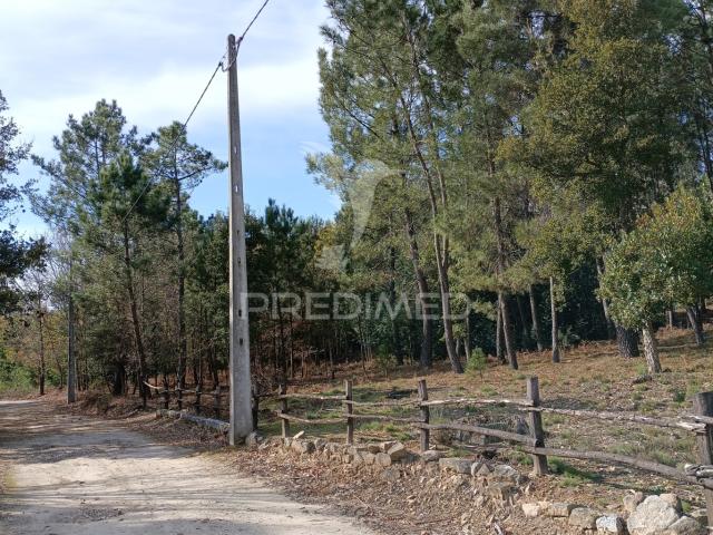 Terreno venda em Mourilhe, Viseu