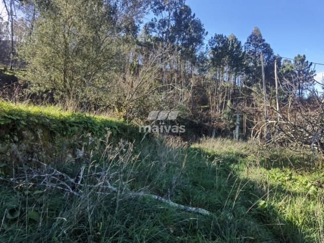 Terreno venda em Póvoa De Lanhoso, Duquezas Terreno venda em Póvoa De Lanhoso, Duquezas