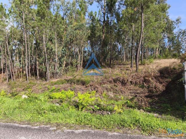 Terreno venda em Pombal, Leiria