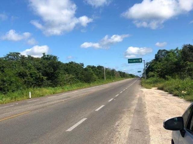 TERRENO SOBRE CARRETERA USO DE SUELO INDUSTRIAL EN CARRILLO PUERTO