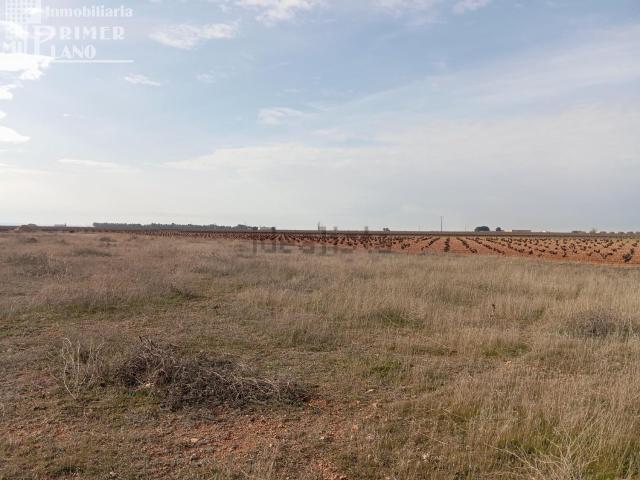 Terreno en venta en Socuéllamos, Castilla-La Mancha