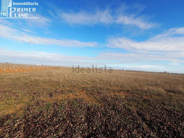 Terreno en venta en Socuéllamos, Castilla-La Mancha