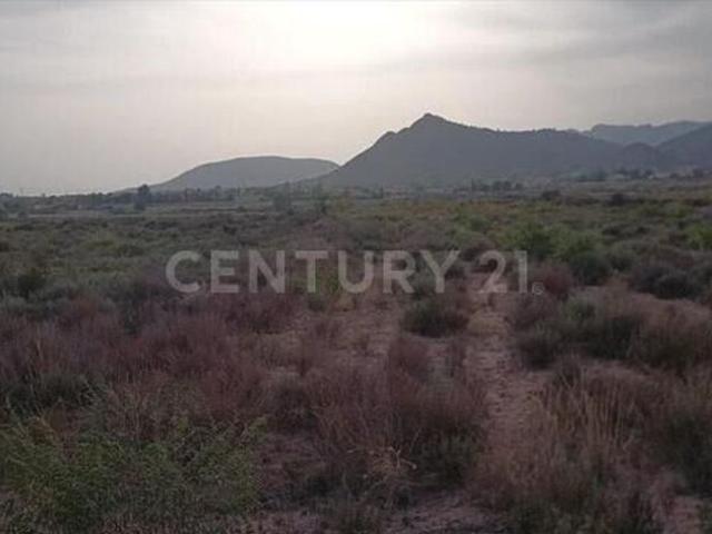 Terreno en alquiler en Salado, Abanilla
