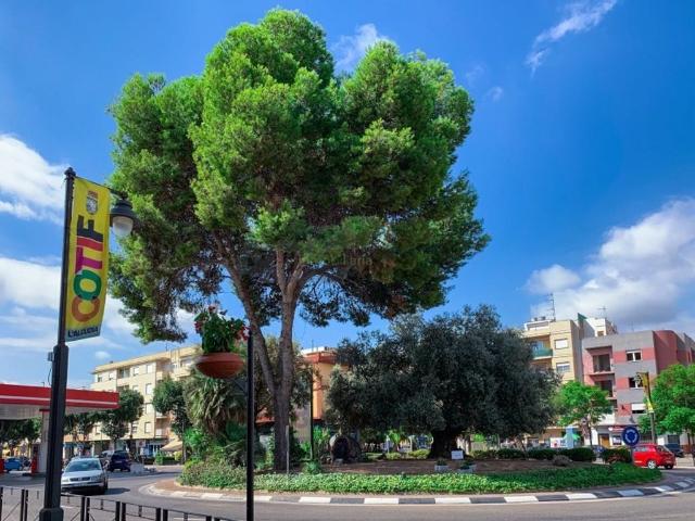 Terreno en venta en L'alcúdia, Urbanització Istobal