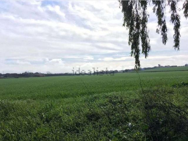 Terreno en venta en Cerro de Reyes, Tierra de Badajoz