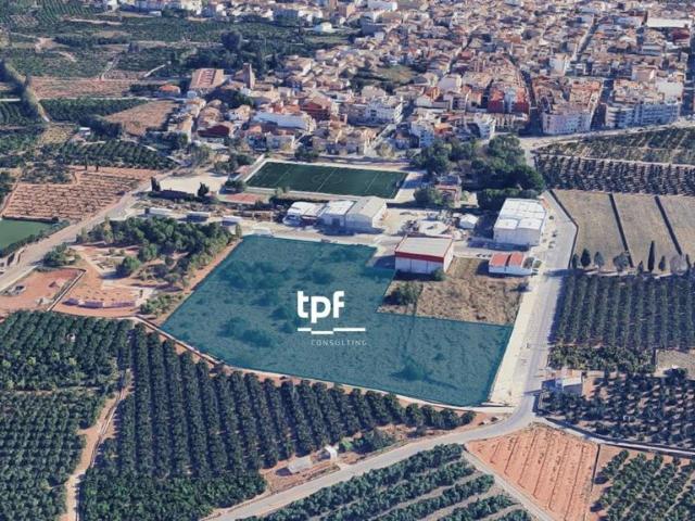 Terreno en venta en el Camp de Morvedre, Valencia