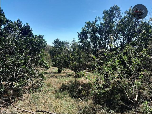Terreno venta en Bajo Boquete, Boquete