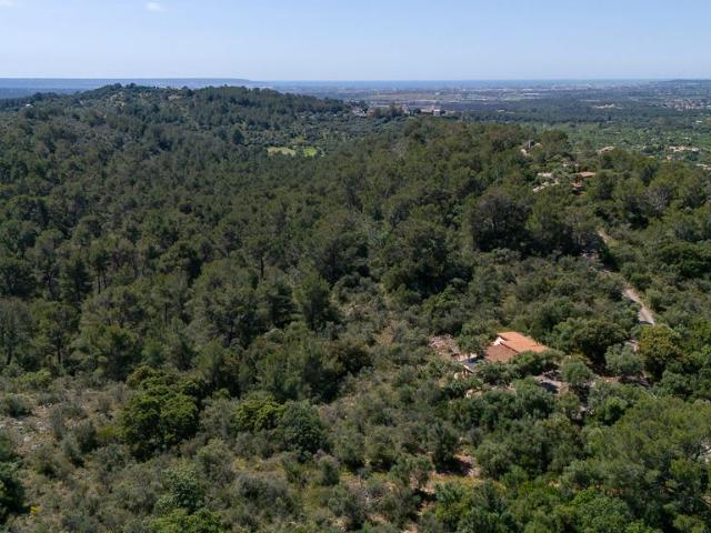 Terreno en venta en Serra de Tramuntana, Baleares